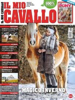 Il mio Cavallo